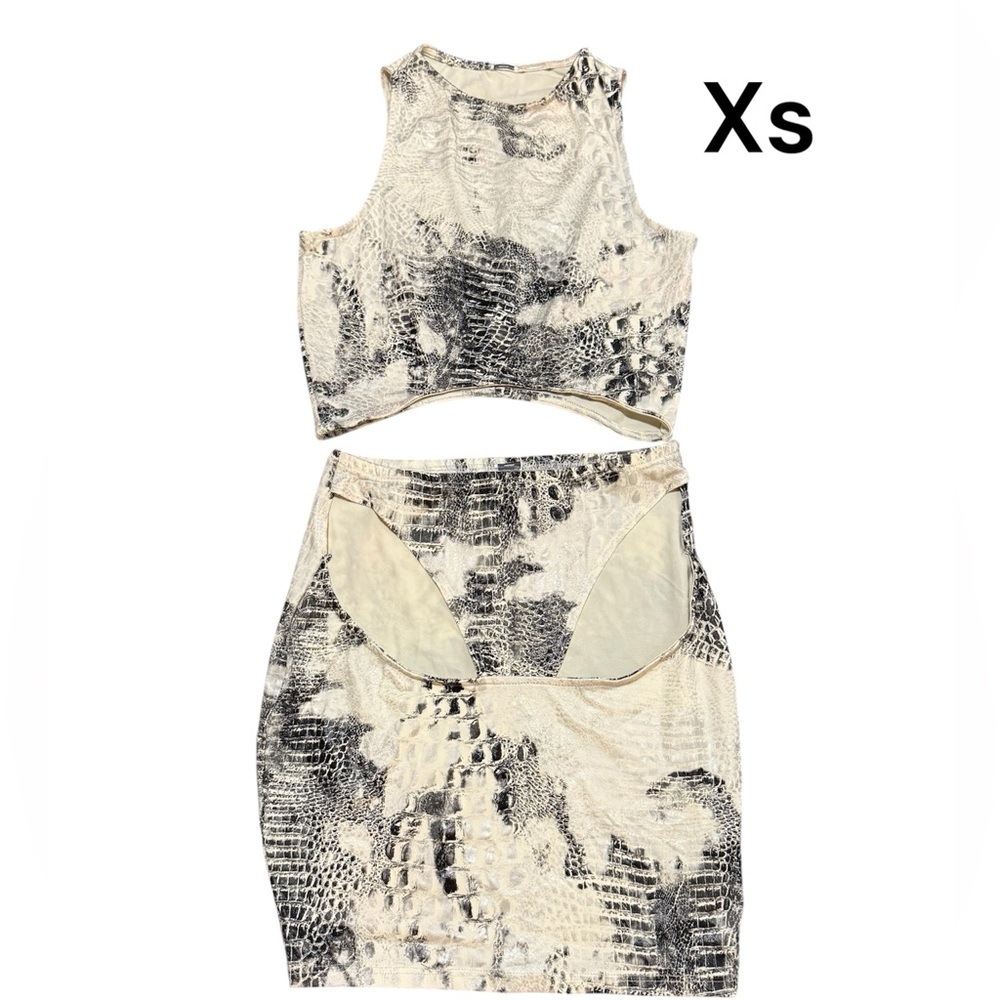 Snakeskin Print Crop Top and Skirt Set
